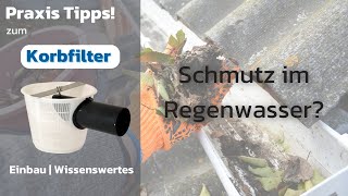 Korbfilter Für Zisternen Die Größten Fehler Vermeiden Wichtige Tipps