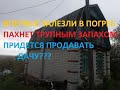 Яблоньку пилим. Дождь. Впервые спустились в погреб."ГОРОДСКАЯ ДАЧА"