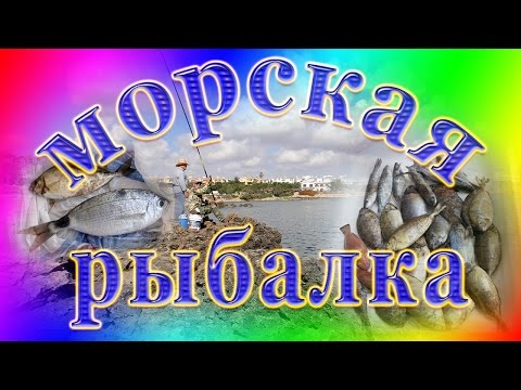 снаряжение для морской рыбалки с берега