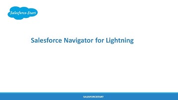 Salesforce Navigator for Lightning