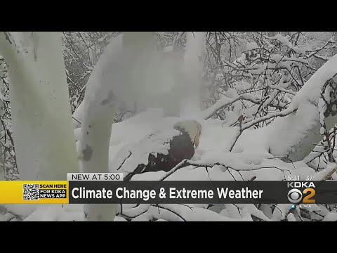 वीडियो: पिट्सबर्ग में मौसम और जलवायु