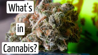 What Compounds Are in Medical Marijuana? | Discover Marijuana