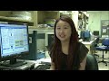 At the NIH Clinical Center: Intern Eunah Lee works with blood groups systems