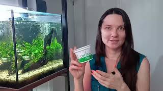 видео: Аквариумные растения на земле / как высаживать в горшочки картинка: Аквариумные растения на земле / как высаживать в горшочки