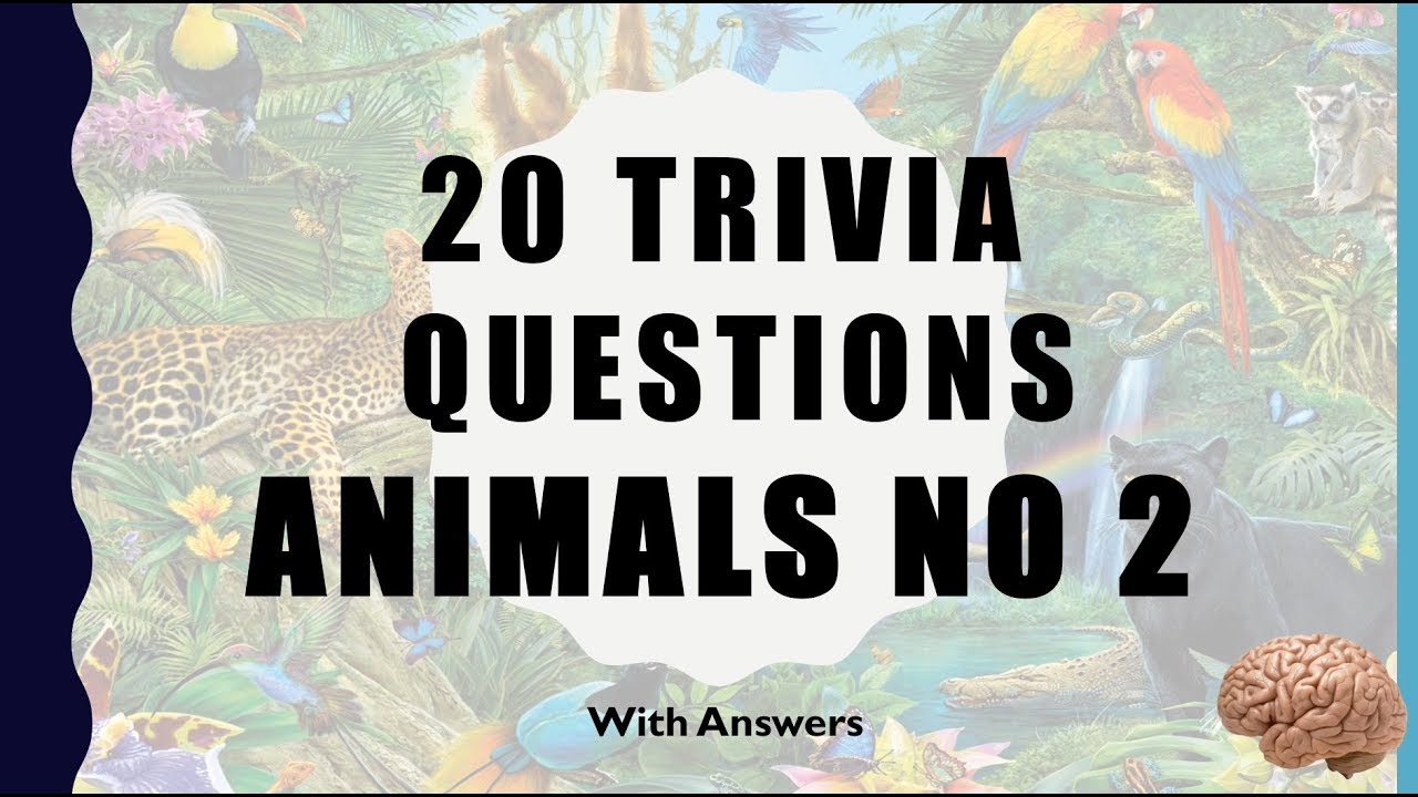 20 Trivia Questions Animals No 2 Youtube