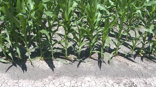 Rising prices and inflation hitting farmers hard