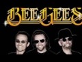 Bee Gees-Don&#39;t Fall In Love With Me (Tradução)