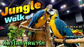 Jungle Walk 10-19 พ.ค. 67 สัตว์โลกสุดน่ารัก The Mall lifestore บางแค #junglewalk #สัตว์โลกน่ารัก