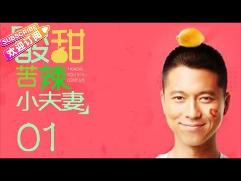 酸甜苦辣小夫妻  01（王雷、车晓主演）