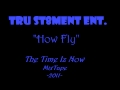 &quot;How Fly&quot;-Tru St8ment Ent.