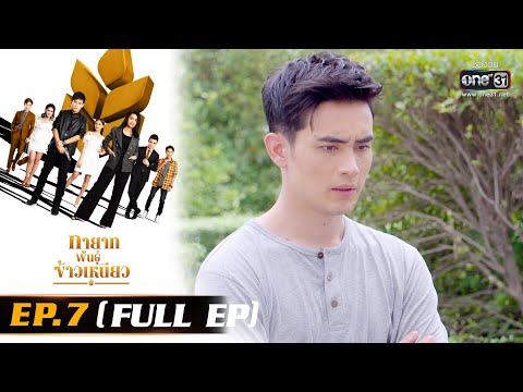 ทายาทพันธุ์ข้าวเหนียว | EP.7 (FULL EP)  | 28 ก.พ. 65 | one31