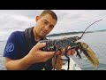 Hauling lobster pots and float fishing for Bass