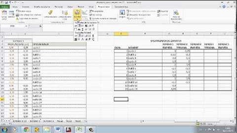 Activar funcion programador excel 2010