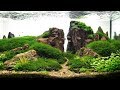 Top 15 ACUARIOS Paisajismo Plantado MÁS BONITOS DEL MUNDO |HD| - Acuascaping