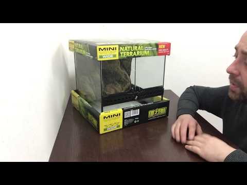 Video: Cara Melengkapi Terarium