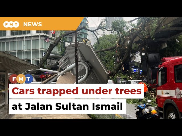 Cars trapped as tree falls at Jalan Sultan Ismail class=