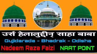 Nadeem Raza Faizi+Urs Helal Shah Bada Gujidarada Bhadrak Odisha - 2017