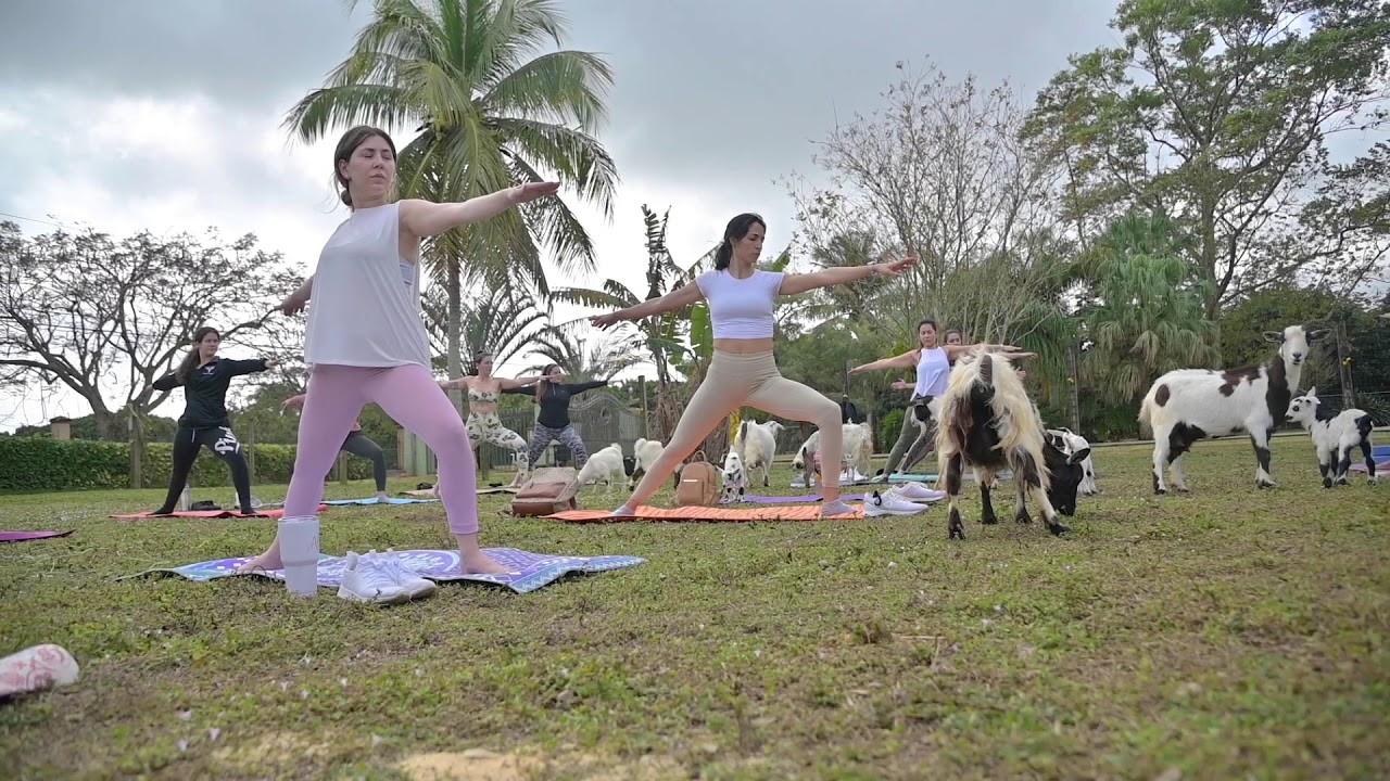Goat Yoga at the Farm