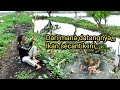 Rejeki,, mancing di sungai dapat ikan secantik ini