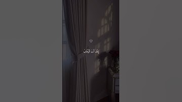 سورة آل عمران 💙#حالات_دينية #حالات_واتس #حالات_واتساب #قرآن #حالات