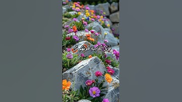 قرآن كريم || سورة الزمر #بصوت_القارئ #ماهر_المعيقلي #مكة_المكرمة #اكسبلور #explore  #العراق #مصر