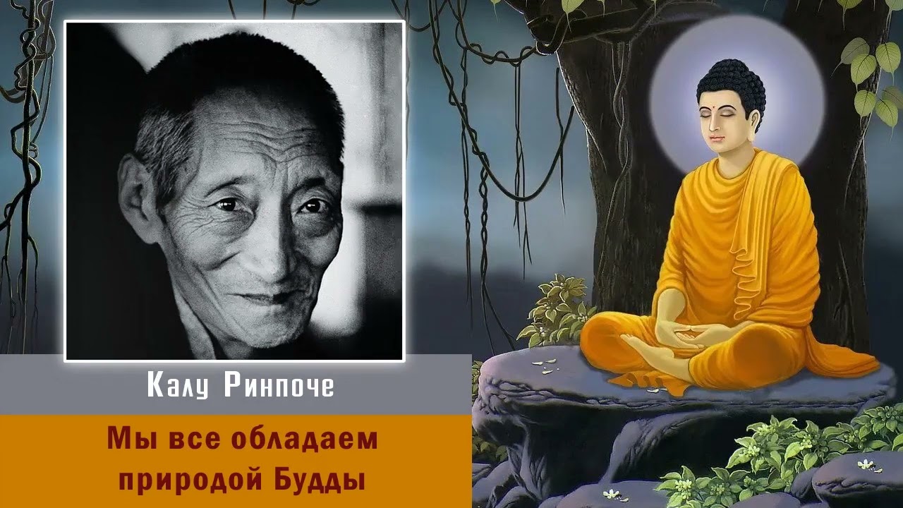 Калу Ринпоче. Мы все обладаем природой Будды. Аудиокнига. Читает Никита Демидов