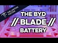 The BYD Blade Battery Evaluated:  The Hype is Real (Mostly)