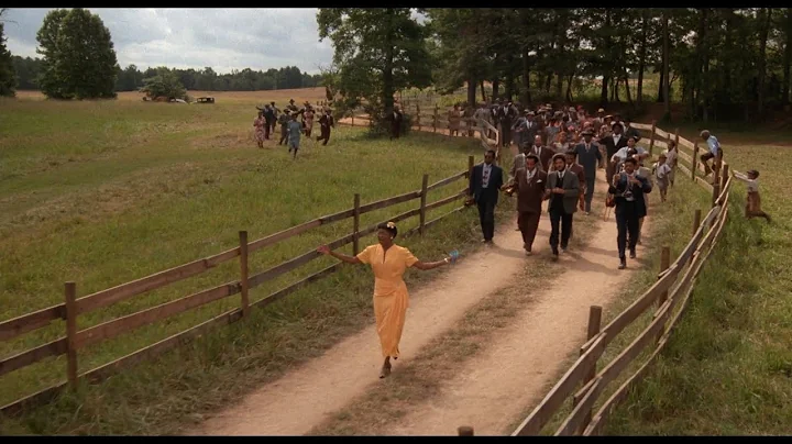 The Color Purple (1985) - God Is Trying To Tell You Something