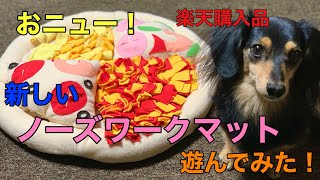 【ミニチュアダックスフンド】新しいノーズワークマットを買ったので開封して全力で遊んで見た【ノーズワーク】