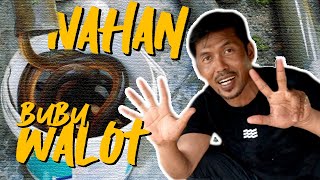 {VLOG} #KULAAN NAHAN BUBU WALOT!!! #banjar #BUBU #BELUT #paritbuntar (EPISOD 2)