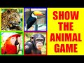 Show me the RAINFOREST ANIMAL Game for Kids - Where is the animal?