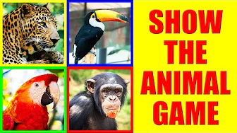 Show me the RAINFOREST ANIMAL Game for Kids - Where is the animal?