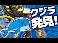 【カドクラ車椅子】タルト