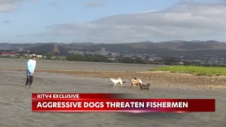 Fishermen attacked by pack of dogs at Keehi Lagoon