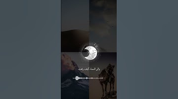 أفلا ينظرون إلى الابل كيف خلقت /قران كريم بصوت القارئ عبدالرحمن مسعد