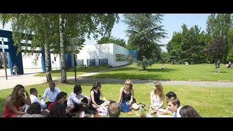 The HEC Paris Summer School experience
