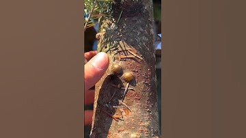 এই ভিডিওটি তোমার হেটার্সদের মুখে চপেটাঘাত🔥