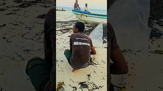 Zanzibar plaża w Jambiani ##zanzibar #africa #jambiani #beach #ocean #monkey #nature