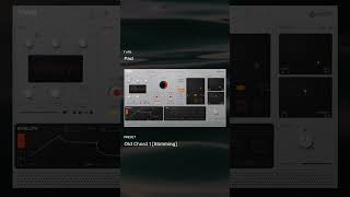 Exploring Ember Presets: Stimming’s Unique Sound in “Old Chord