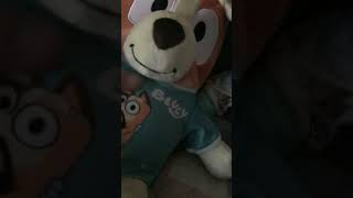 My Build-A-Bear Talking Bingo & Bluey Plushies With Outfits Review