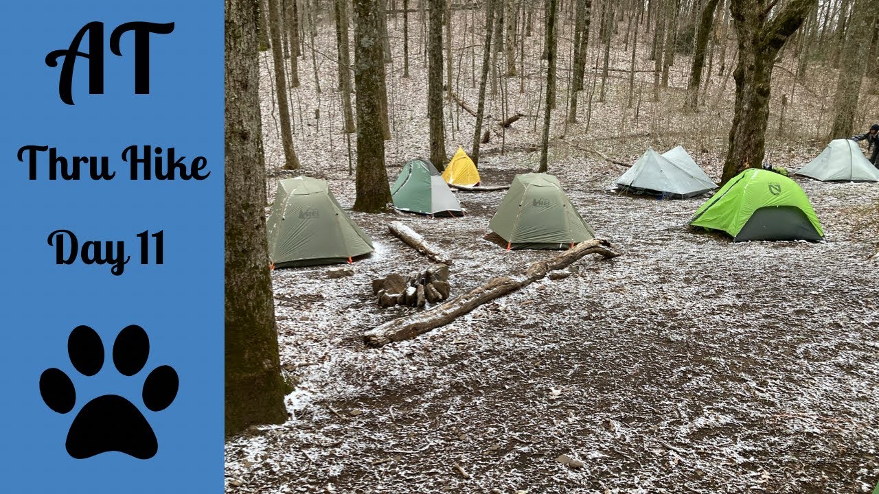 Day 11 Low Gap Shelter to Blue Mountain Shelter Appalachian Trail Thru Hike 2022 YouTube