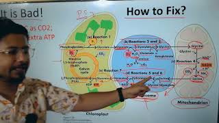 Photorespiration csir net life science | Photorespiration in plants @shomusbiologyofficial