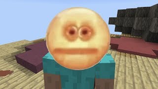 Minecraft Vibe Check