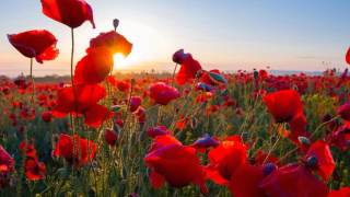 010如果對方老是游移不決，怎麼辦 ,劉必榮的和風書院,談判課程教學