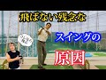 ジュニアとプロのプレーンは何故美しく？何故飛ぶのか？