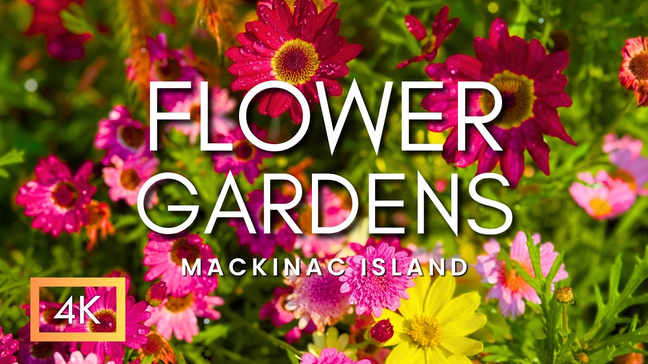 These Gardens Feel Unreal...but are REAL! | Mackinac Island Spring & Summer Flowers in Full Bloom 4K