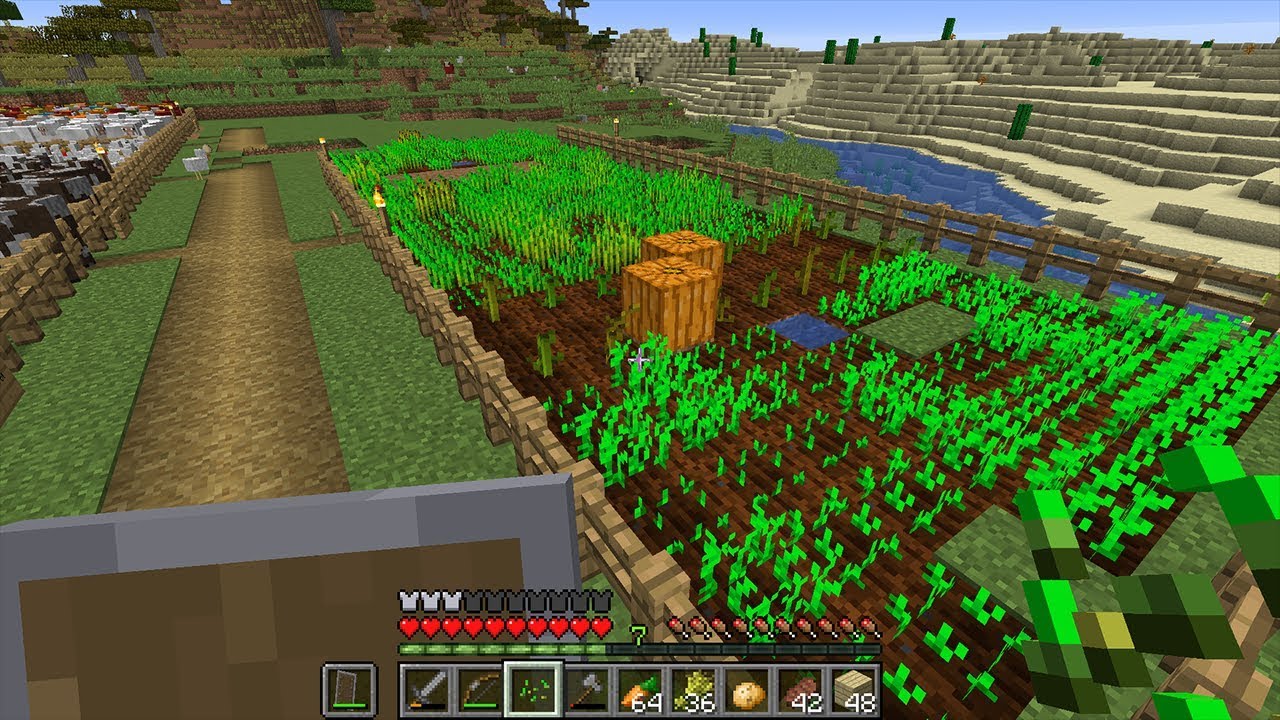 Basic Farming In Minecraft Wheat, Carrots, Potatoes Tutorial YouTube