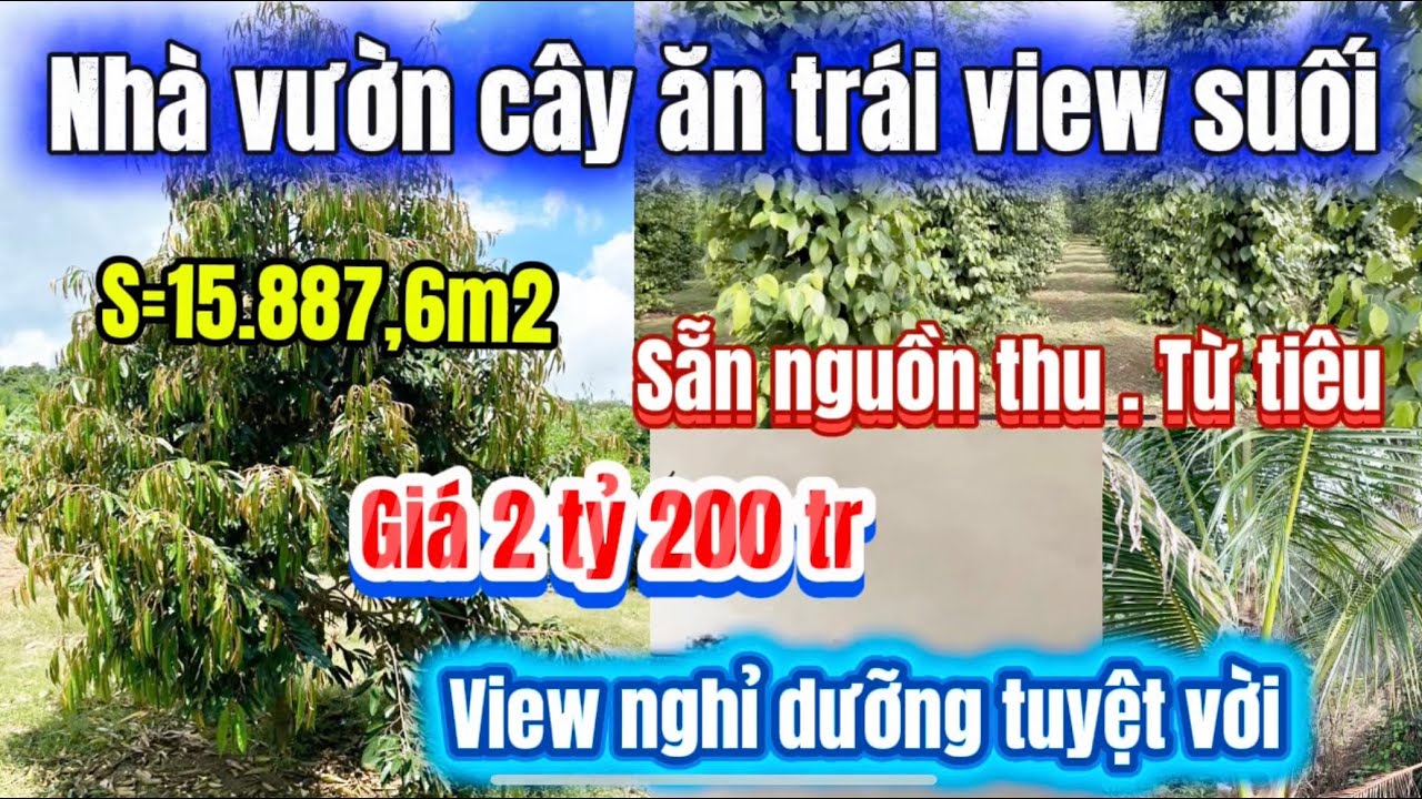 481🌹 nhà vườn cây ăn trái view suối sẵn nguồn thu đất bằng đẹp . làm nơi nghỉ dưỡng quá tuyệt vời ❤️