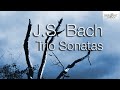 J.S. Bach: Trio Sonatas