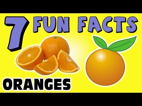 7-fun-facts-about-oranges!-orange-facts-for-kids!-learning-colors!-citrus!-fruit!-funny-sock-puppet!